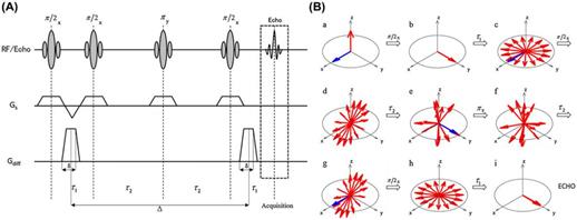 https://onlinelibrary.wiley.com/cms/attachment/4f93d84c-90fe-4dc3-82eb-8acae975b780/mrm27653-fig-0001-m.jpg